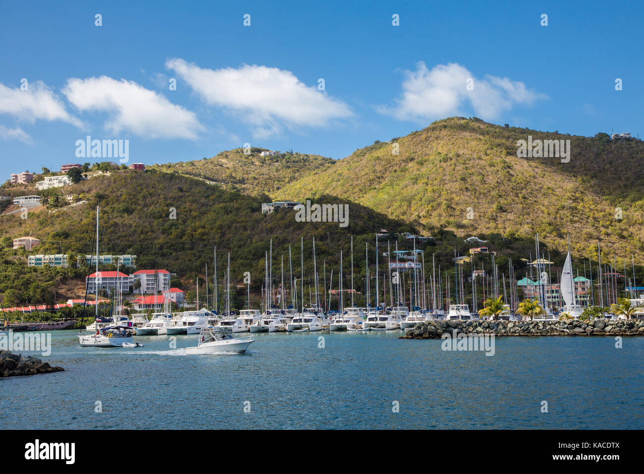 La vista del porto dalla tortola peir park cruise terminal, Road Town, Isole Vergini britanniche Foto Stock