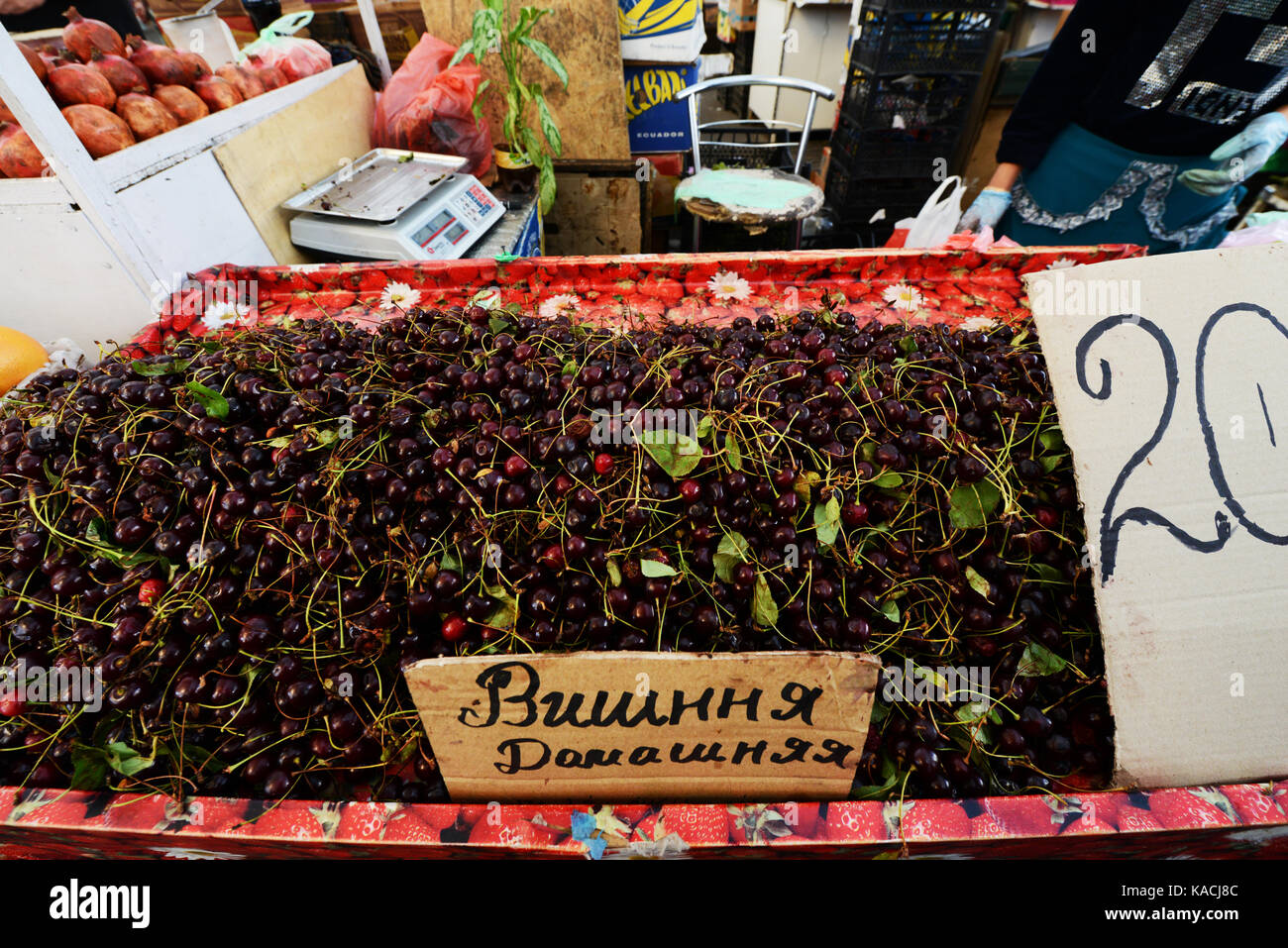 Mercato Pryvoz è un mercato tentacolare risalente al 1827 la vendita di prodotti freschi, i beni usati & economici abbigliamento. Foto Stock