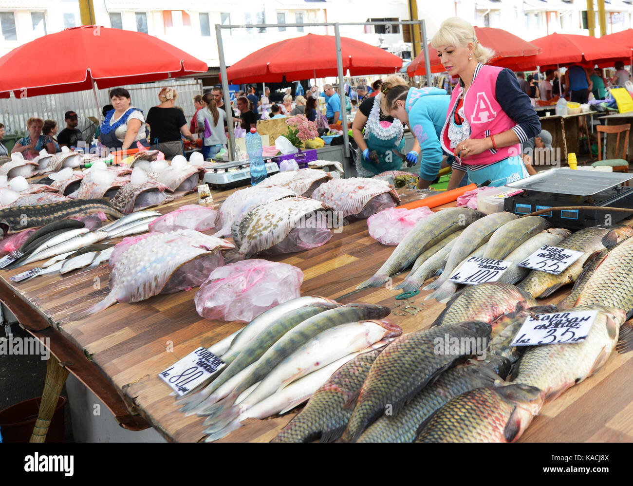 Mercato Pryvoz è un mercato tentacolare risalente al 1827 la vendita di prodotti freschi, i beni usati & economici abbigliamento. Foto Stock