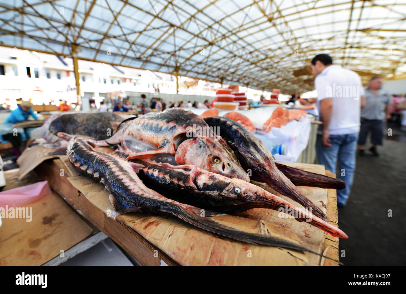 Mercato Pryvoz è un mercato tentacolare risalente al 1827 la vendita di prodotti freschi, i beni usati & economici abbigliamento. Foto Stock