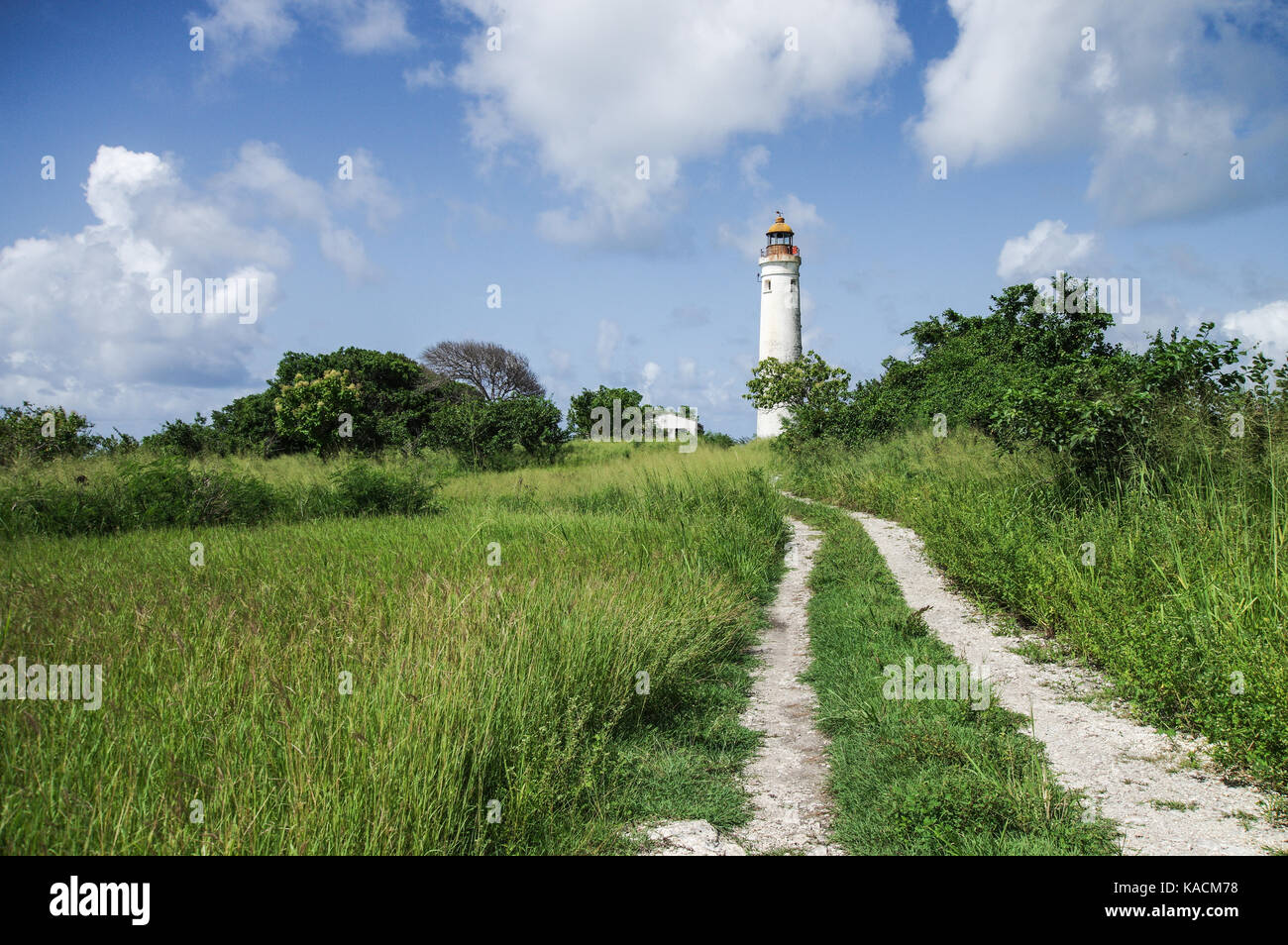 Harrison Point Lighthouse sulla costa ovest di Barbados Foto Stock