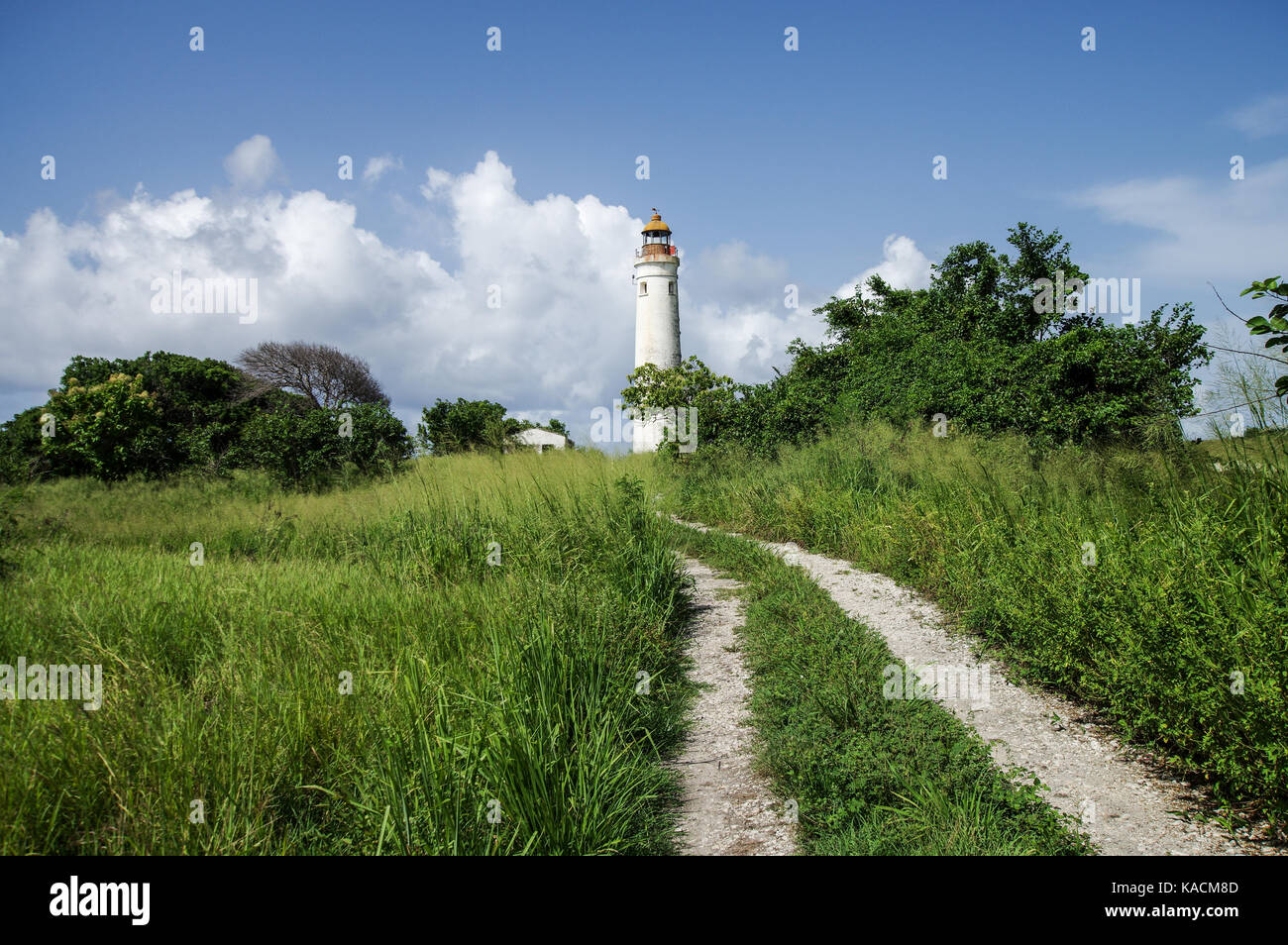 Harrison Point Lighthouse sulla costa ovest di Barbados Foto Stock