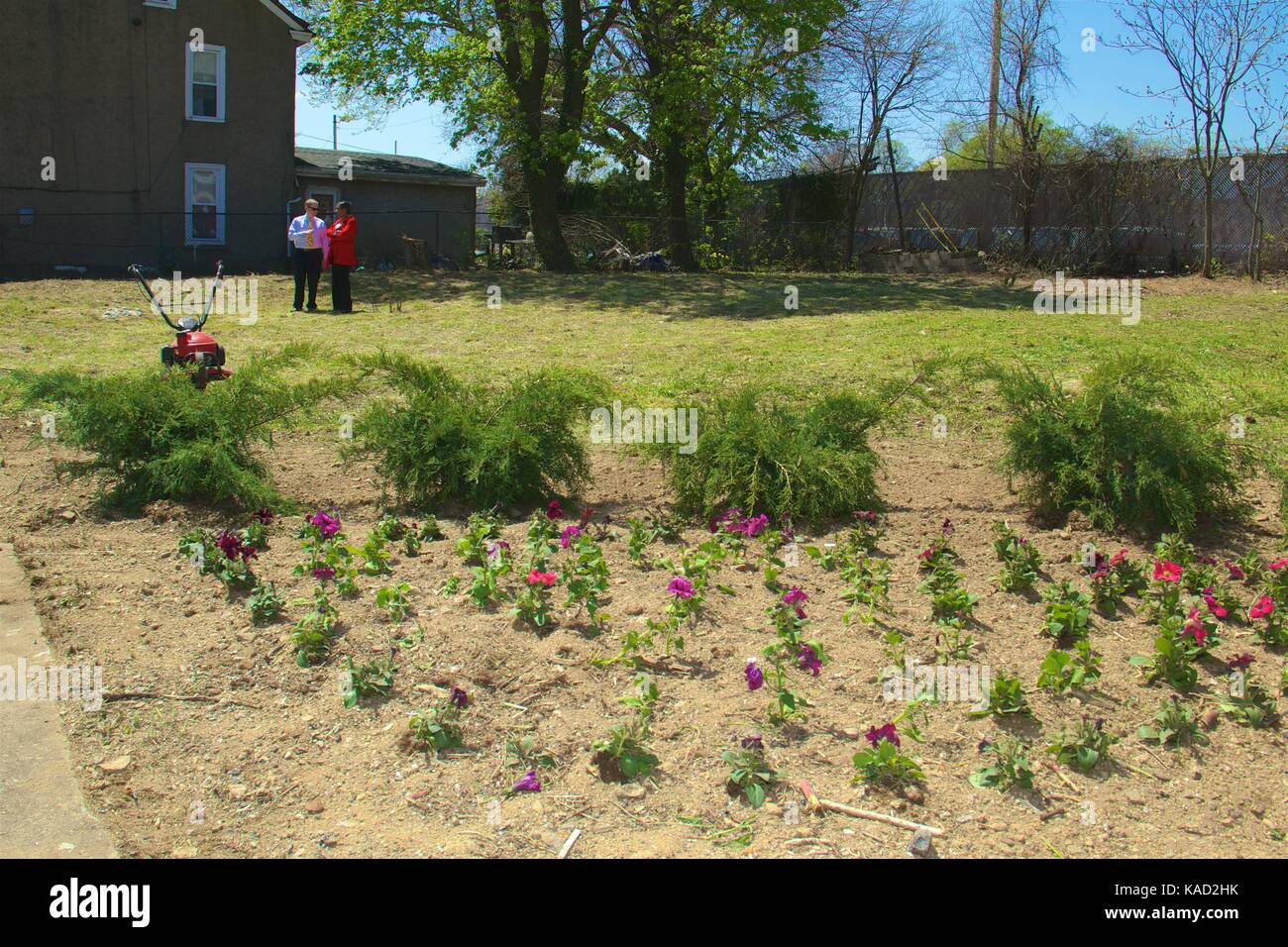 Aprile 26, 2013 - Philadelphia, PA, Stati Uniti d'America: volontari pianta un piccolo giardino ornamentale in corrispondenza della zona di spigolo di un appena pulita molto vacante di Philadelphia. Foto Stock