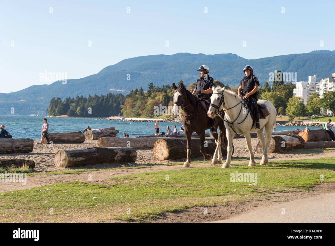 Montato a cavallo di polizia (RCMP) a Vancouver English Bay beach in estate. Vancouver, British Columbia, Canada - 14 September 2017. Foto Stock