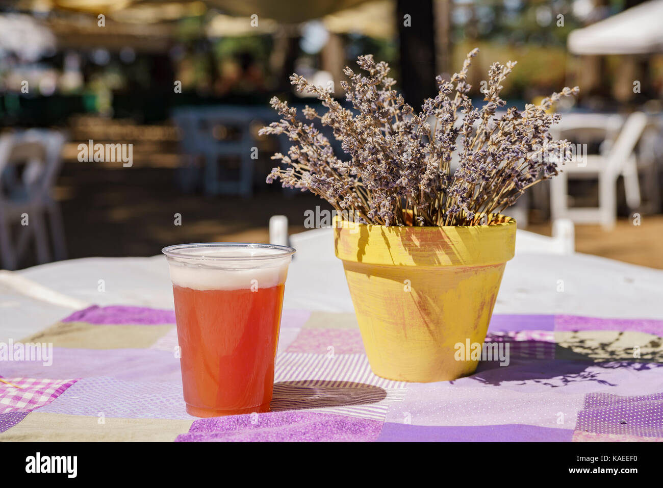 La birra sulla tavola di lavanda festival di 123 Azienda agricola a San bernardino, los angeles County, Stati Uniti Foto Stock