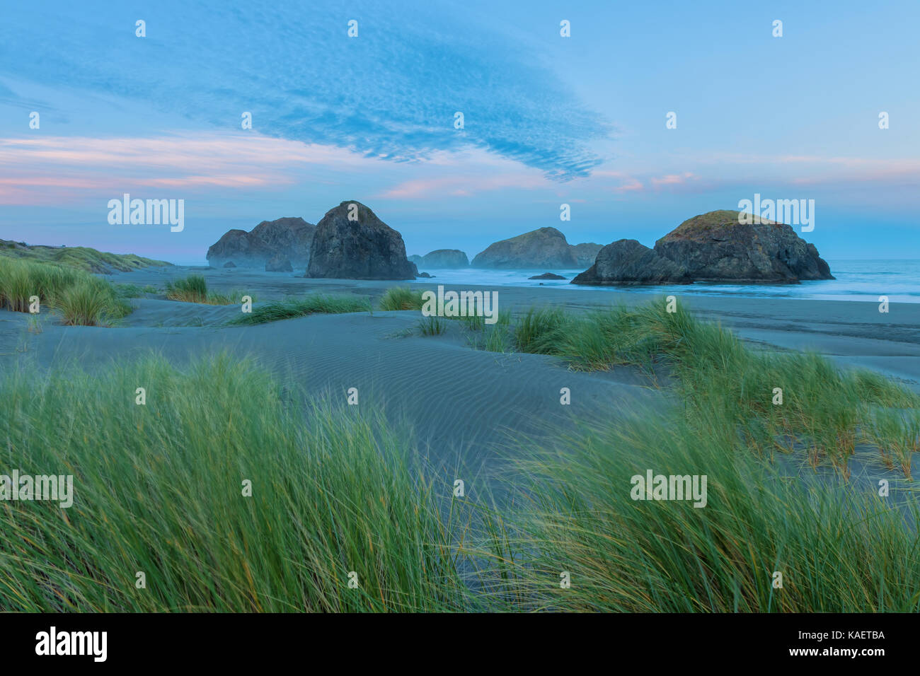 Le dune di sabbia, beachgrass (ammophila sp.) e l'seastacks a gold beach, oregon, a sunrise. Foto Stock