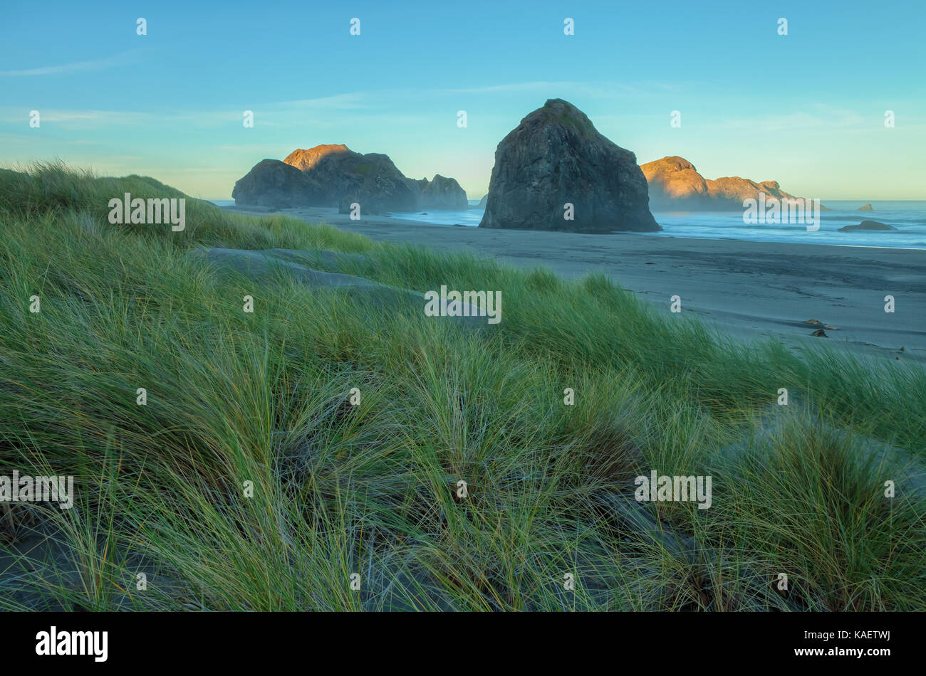 Le dune di sabbia, beachgrass (ammophila sp.) e l'seastacks a gold beach, oregon, a sunrise. Foto Stock