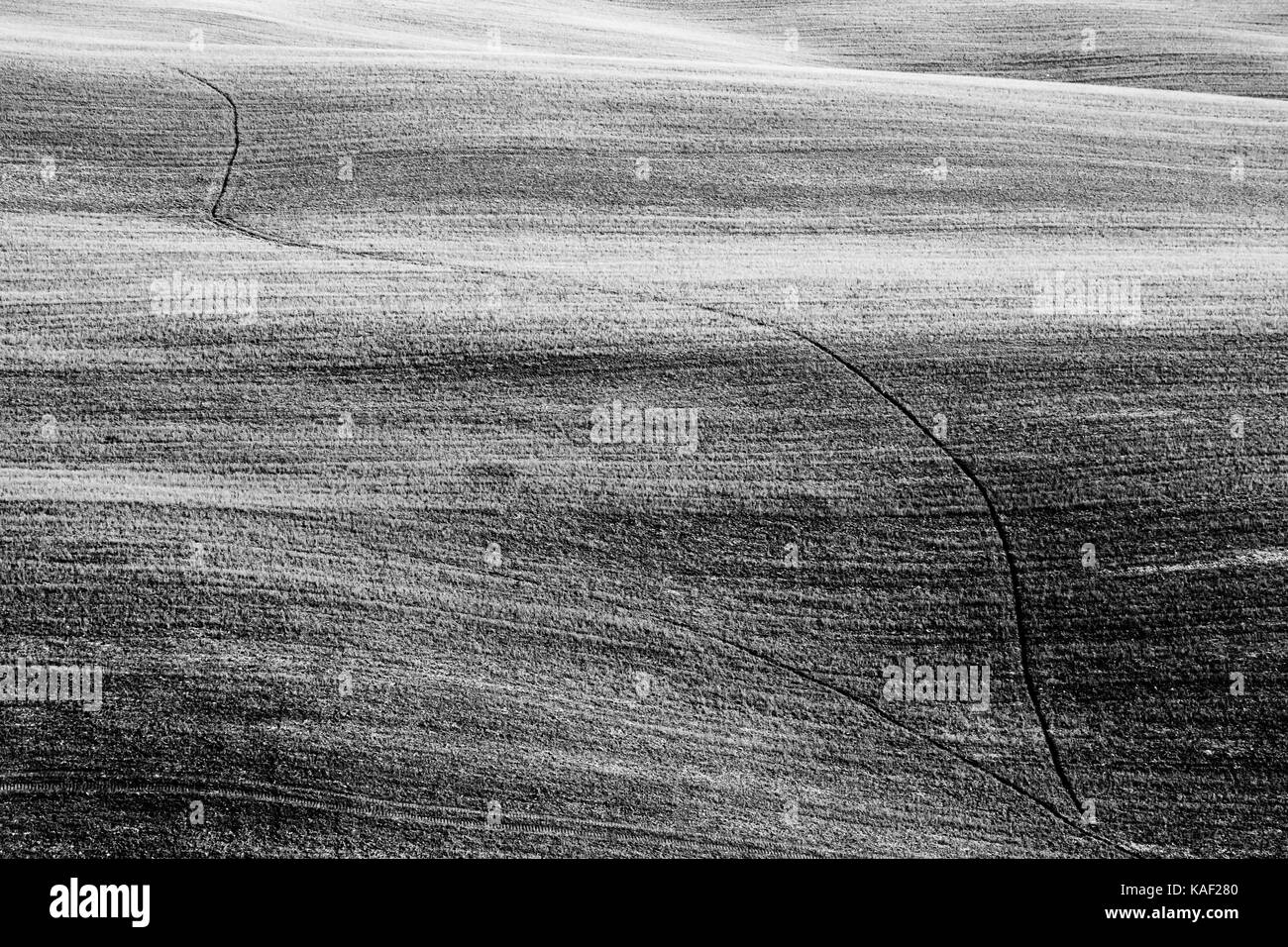 Campi coltivati in Toscana (Italia) sulla curva colline Foto Stock