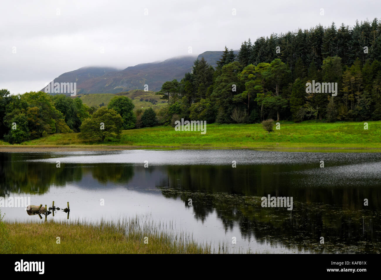 Doon Lough, o Foleys Pound nella Contea di Leitrim vicino a Sligo, Irlanda Foto Stock