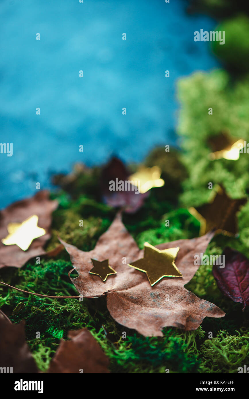 Foglie di autunno su un verde muschio con stelle dorate. rientrano la testata con copia spazio nei toni freddi. close-up di leaf texture. Foto Stock