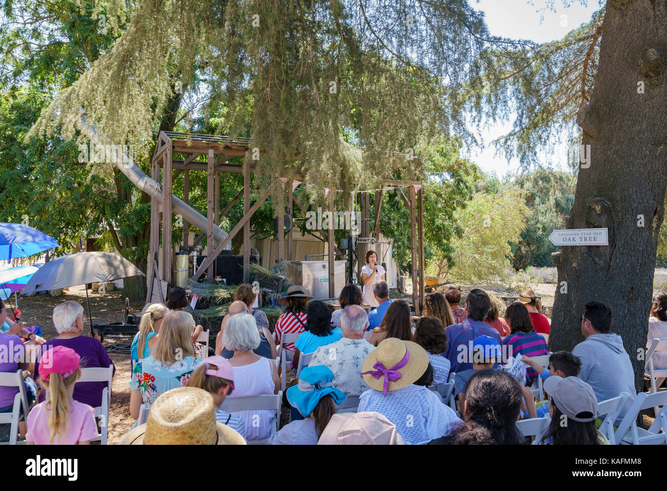 Los Angeles, giu 11: lavanda festival a 123 farm a giugno 11, 2017 a San bernardino, los angeles County, Stati Uniti Foto Stock