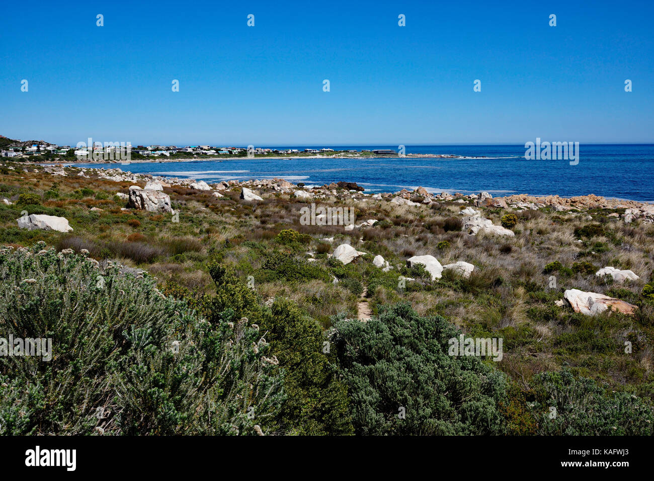 False Bay con rooi els in background, provincia occidentale, sud africa. Foto Stock