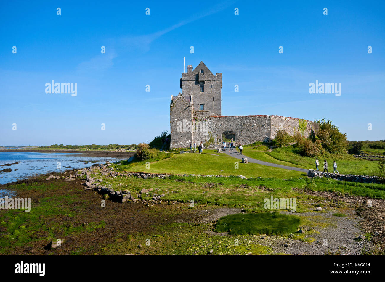 Dunguaire Castle, Kinvarra, nella contea di Galway, Irlanda Foto Stock