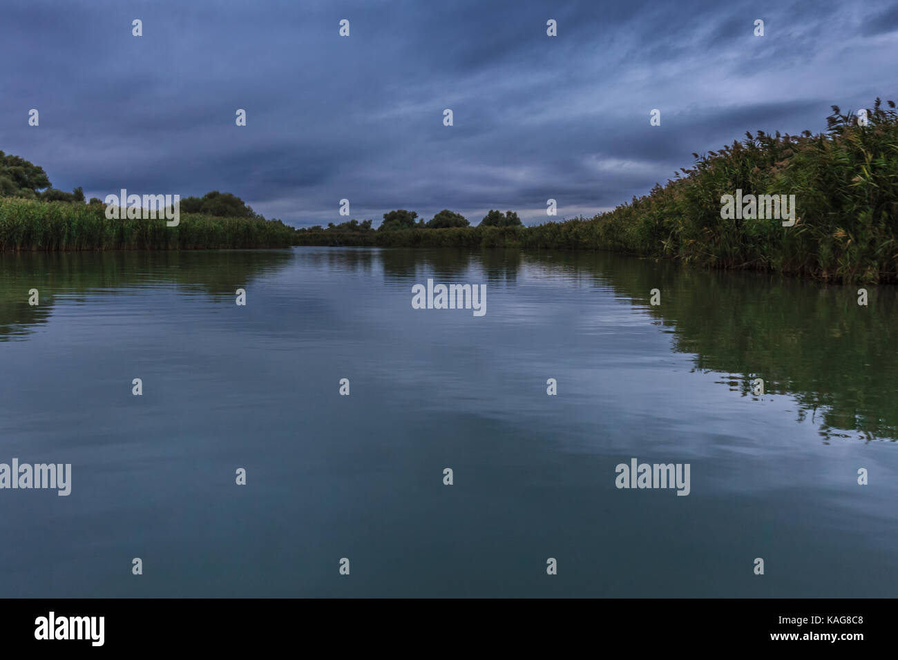 Nuvole scure nel delta del Danubio, Romania Foto Stock