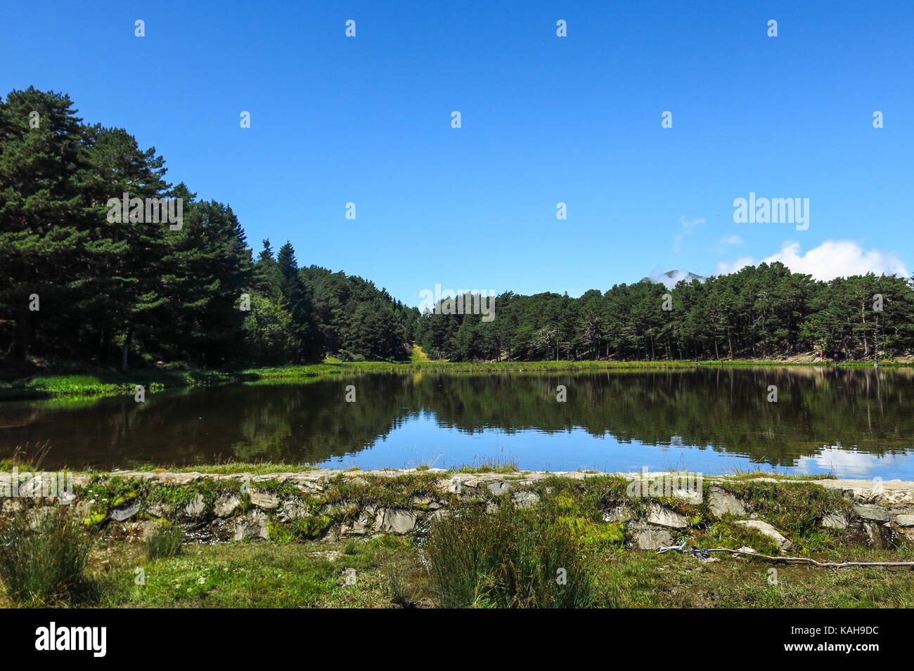 Panorama a bassa de oles. Valle de Arán dei Pirenei catalani, Catalogna, Spagna Foto Stock