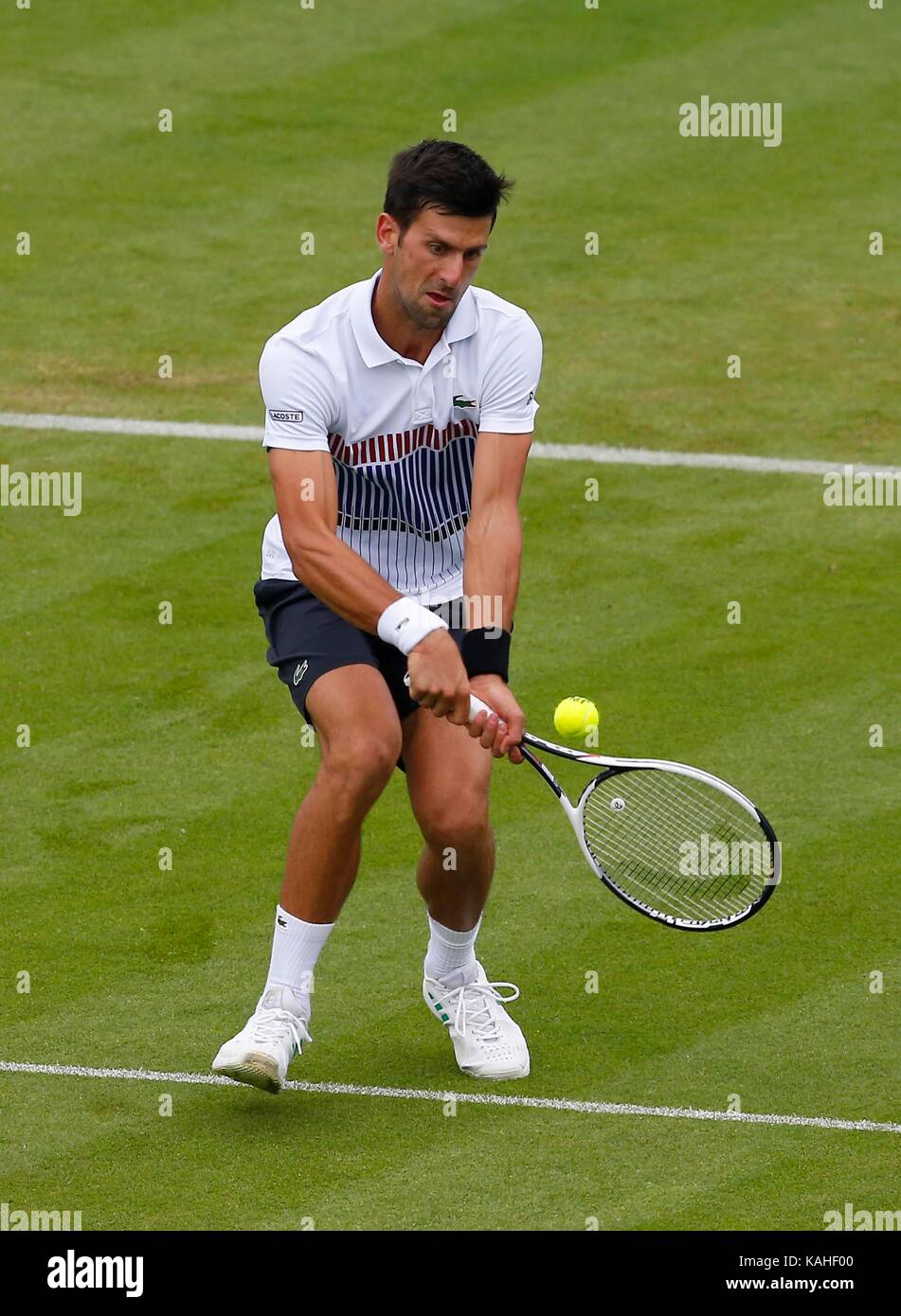 Novak Djokovic di Serbia in azione durante la sua partita contro Vasek Pospisil del Canada il giorno sei del Aegon International in Devonshire Park, Eastbourne. 28 Giu 2017 Foto Stock