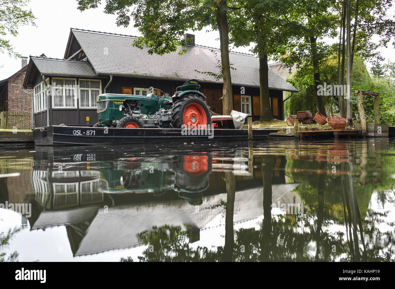Lehde, Germania. 23 Sep, 2017. un trattore su una spreewald (foresta di Sprea) barge al XXVI festival lehdefest in spreewald villaggio di lehde, Germania, 23 settembre 2017. Credito: Patrick pleul/dpa-zentralbild/zb/dpa/alamy live news Foto Stock