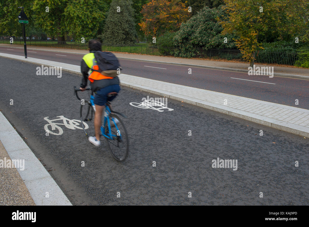 Dedicato piste ciclabili attraverso Hyde park, west carrello drive, Londra, Regno Unito Foto Stock