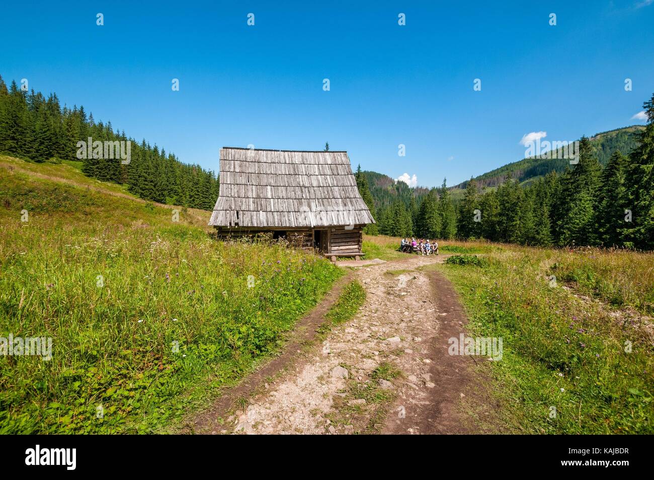 Monti Tatra, Polonia. Foto Stock