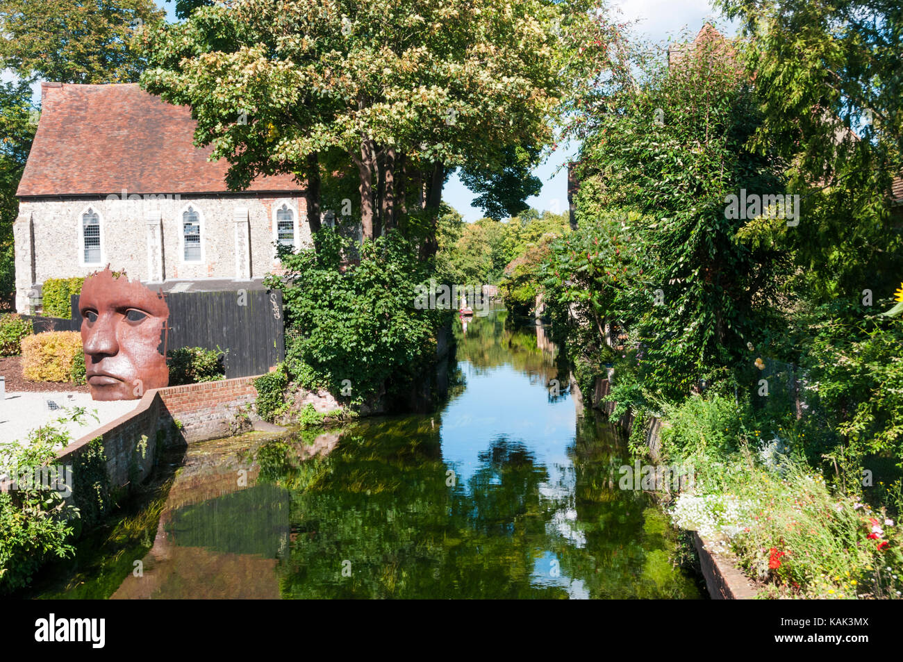Il grande fiume Stour presso i frati, Canterbury Foto Stock