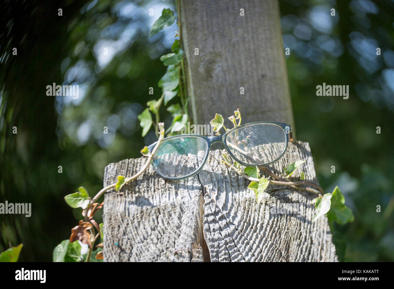 Ho perso il mio specs Foto Stock