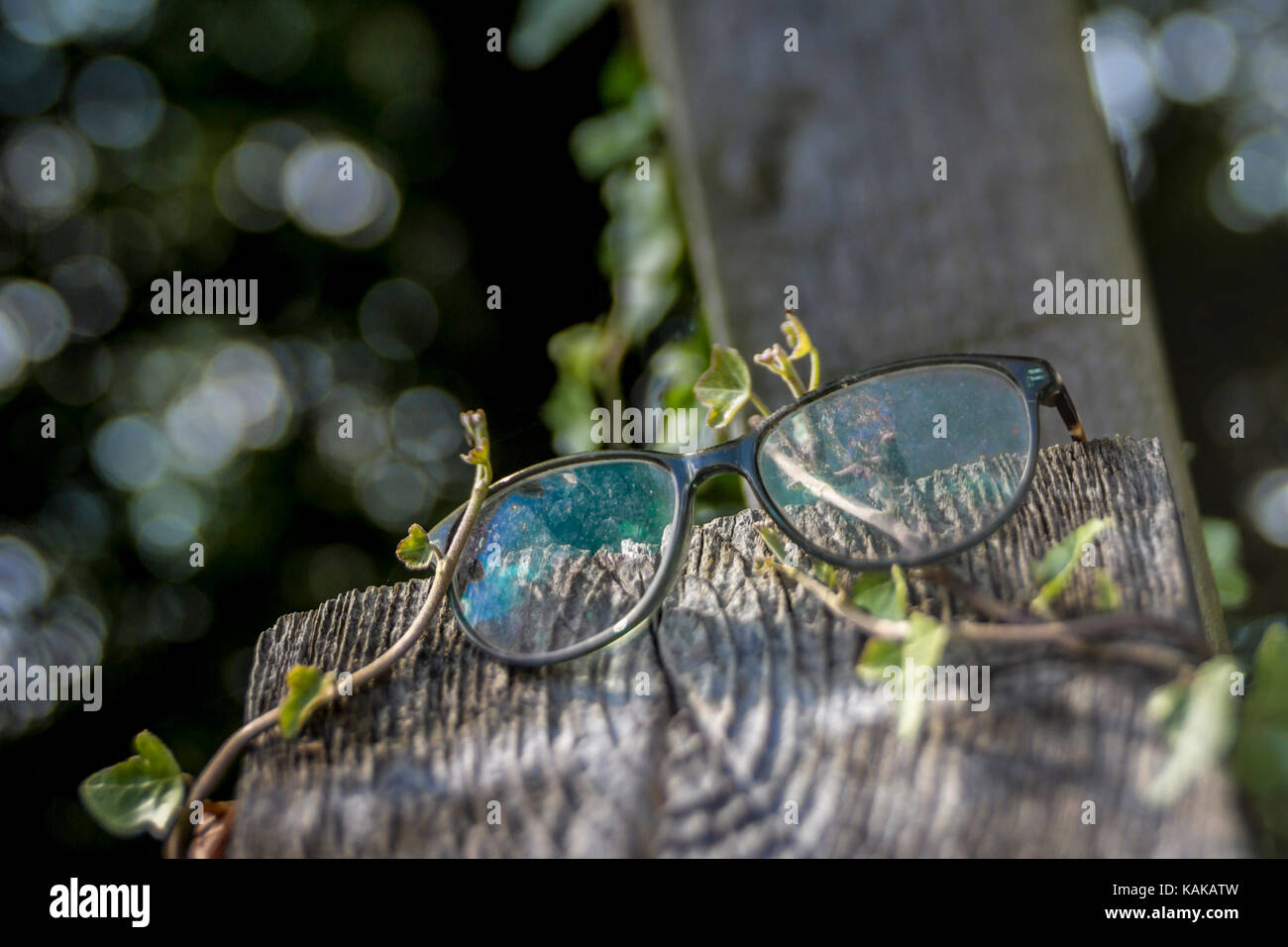 Ho perso il mio specs Foto Stock