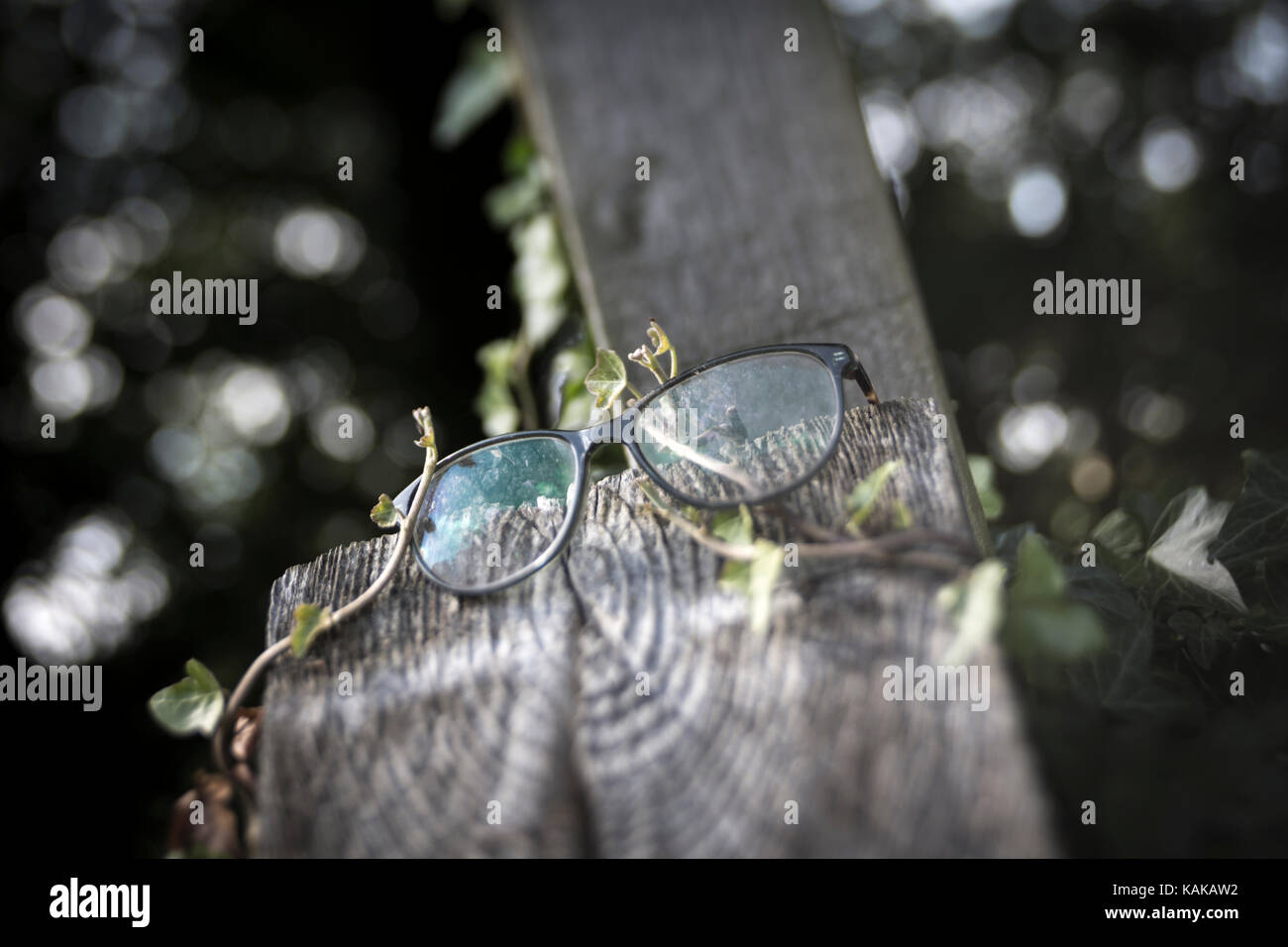 Ho perso il mio specs Foto Stock