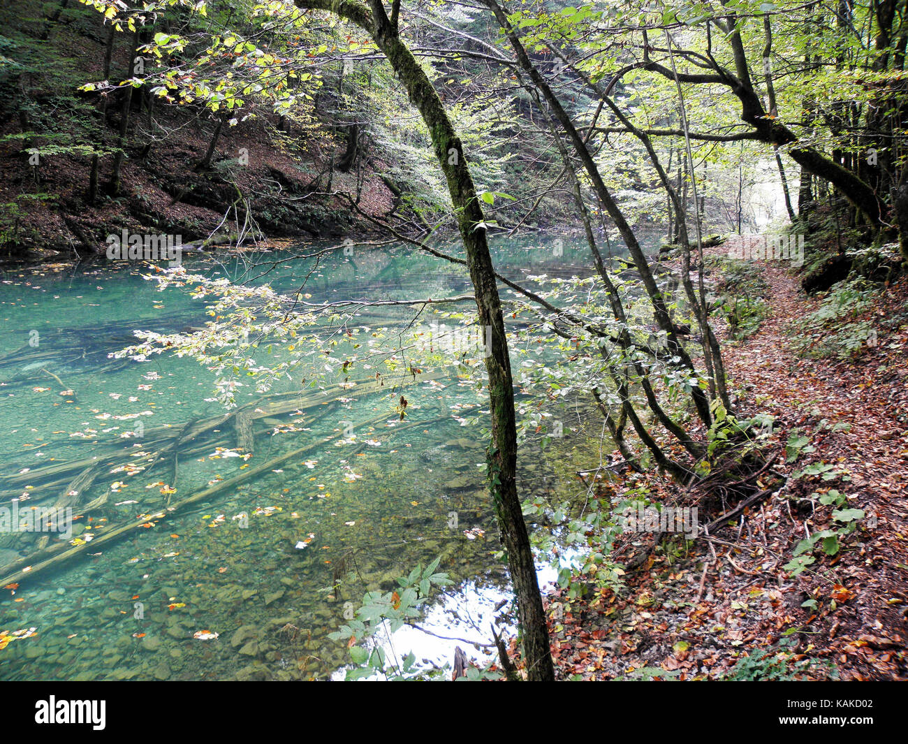 Foglie di autunno,natura croata,canyon kamacnik,l'Europa,6 Foto Stock
