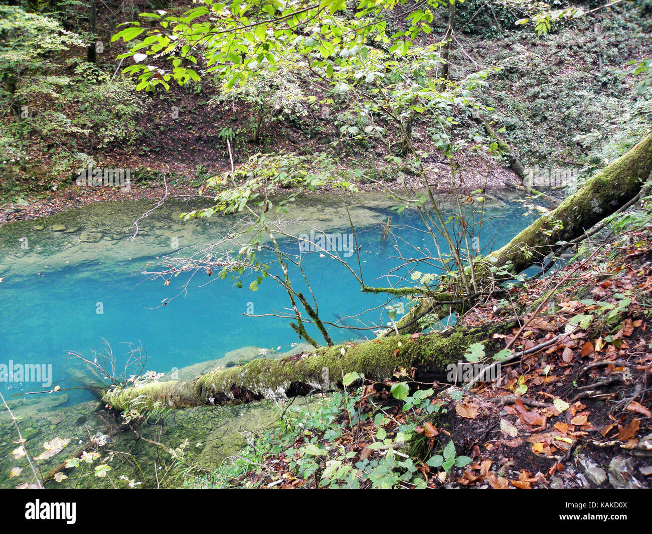 Foglie di autunno,natura croata,canyon kamacnik,l'Europa,7 Foto Stock