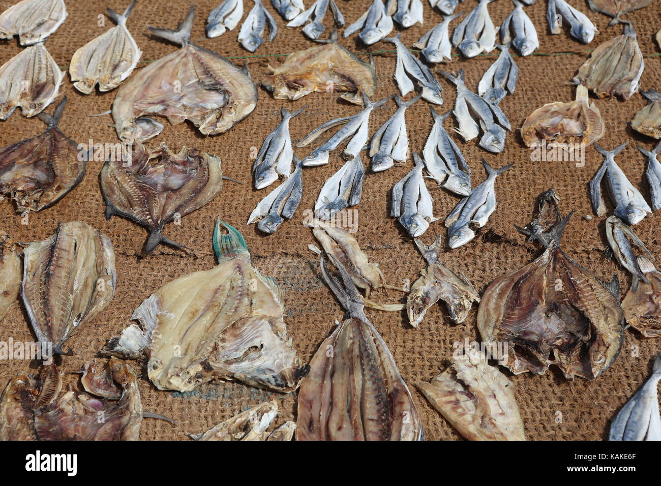 Pesci secchi sul mercato del pesce in Sri Lanka Negombo -- Getrocktneter Fisch auf Fischmarkt in Sri Lanka Negombo Foto Stock