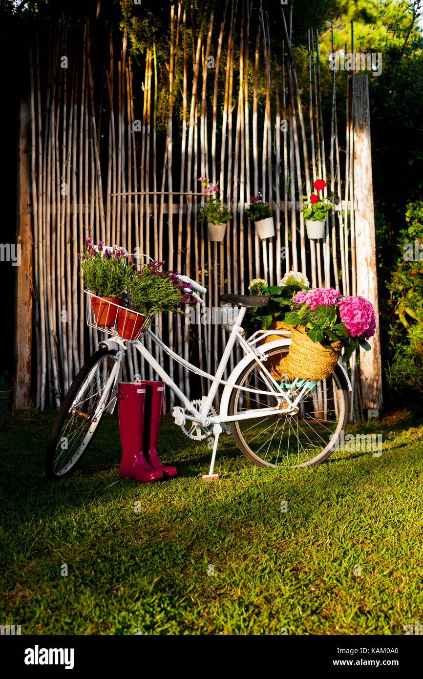 Bicicletta con cesto pieno di fiori nel giardino estivo Foto stock - Alamy