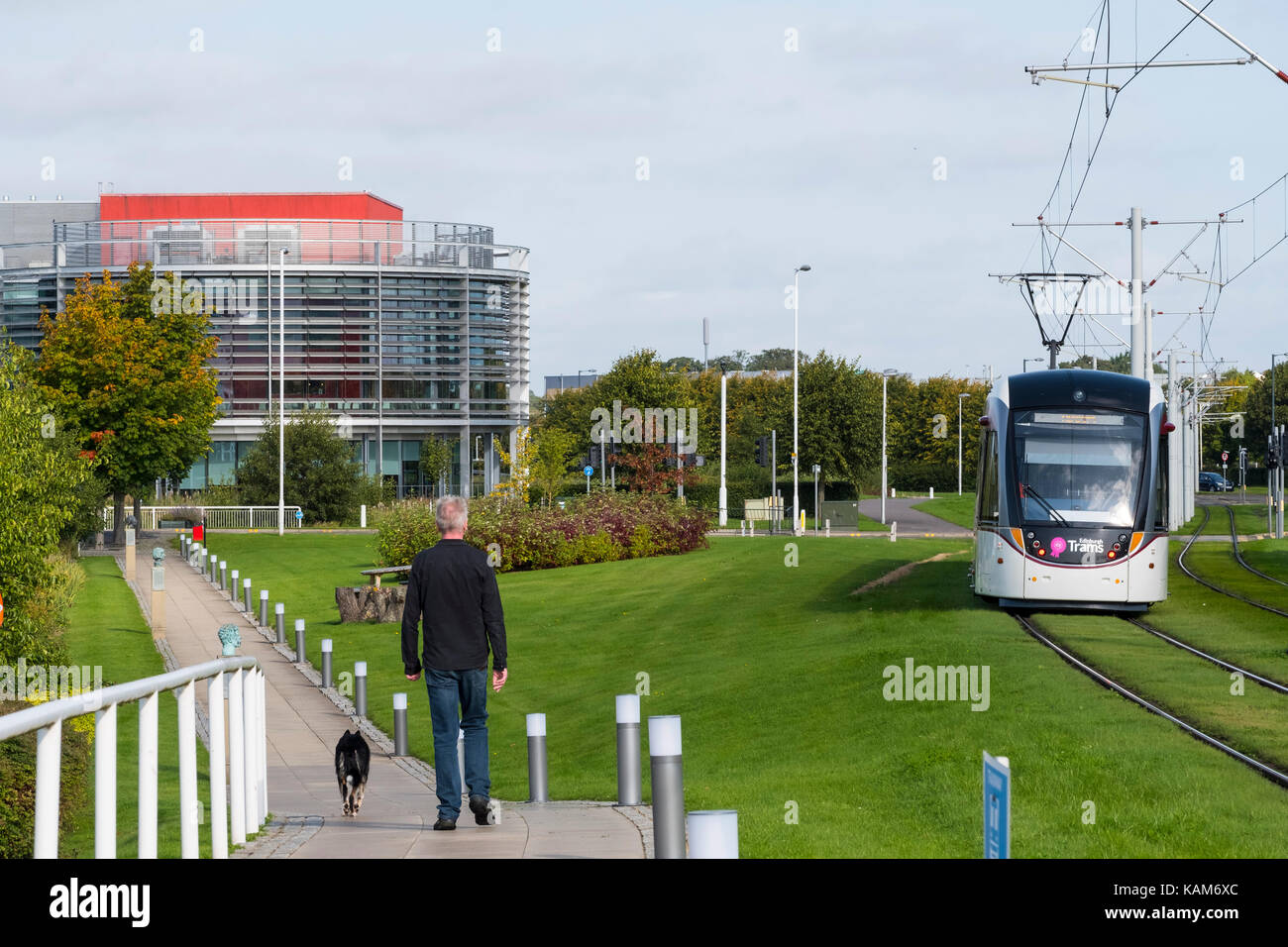 Le fermate del tram e parco paesaggistico a Edinburgh Park un moderno business park a South Gyle ad Edimburgo, Scozia, Regno Unito. Foto Stock