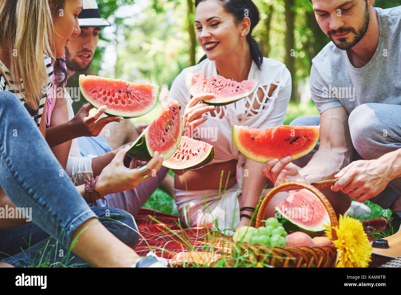 Gruppo di amici avente pic-nic in un parco in una giornata di sole - persone appendere fuori, per divertirsi durante la cottura e rilassante Foto Stock