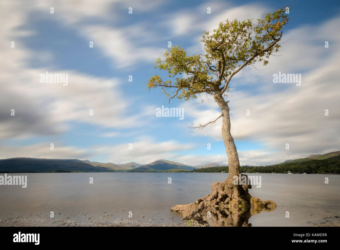 Milarrochy Bay, Loch Lomond, Trossachs, Scozia, Regno Unito Foto Stock