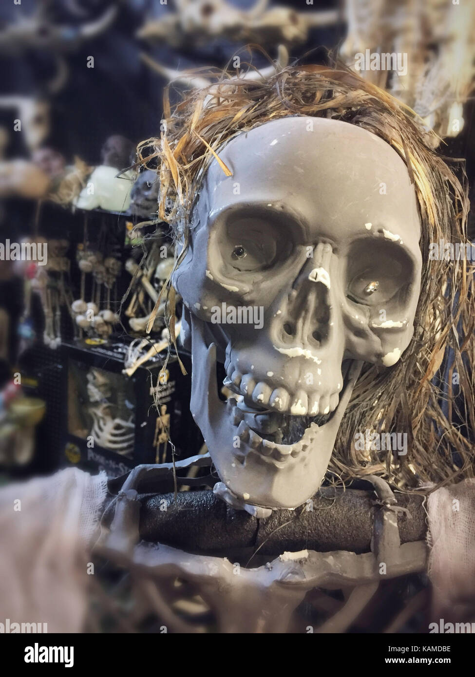 Spirito di Halloween è una specialità Pop-Up Store sulla Fifth Avenue, New York, Stati Uniti d'America Foto Stock