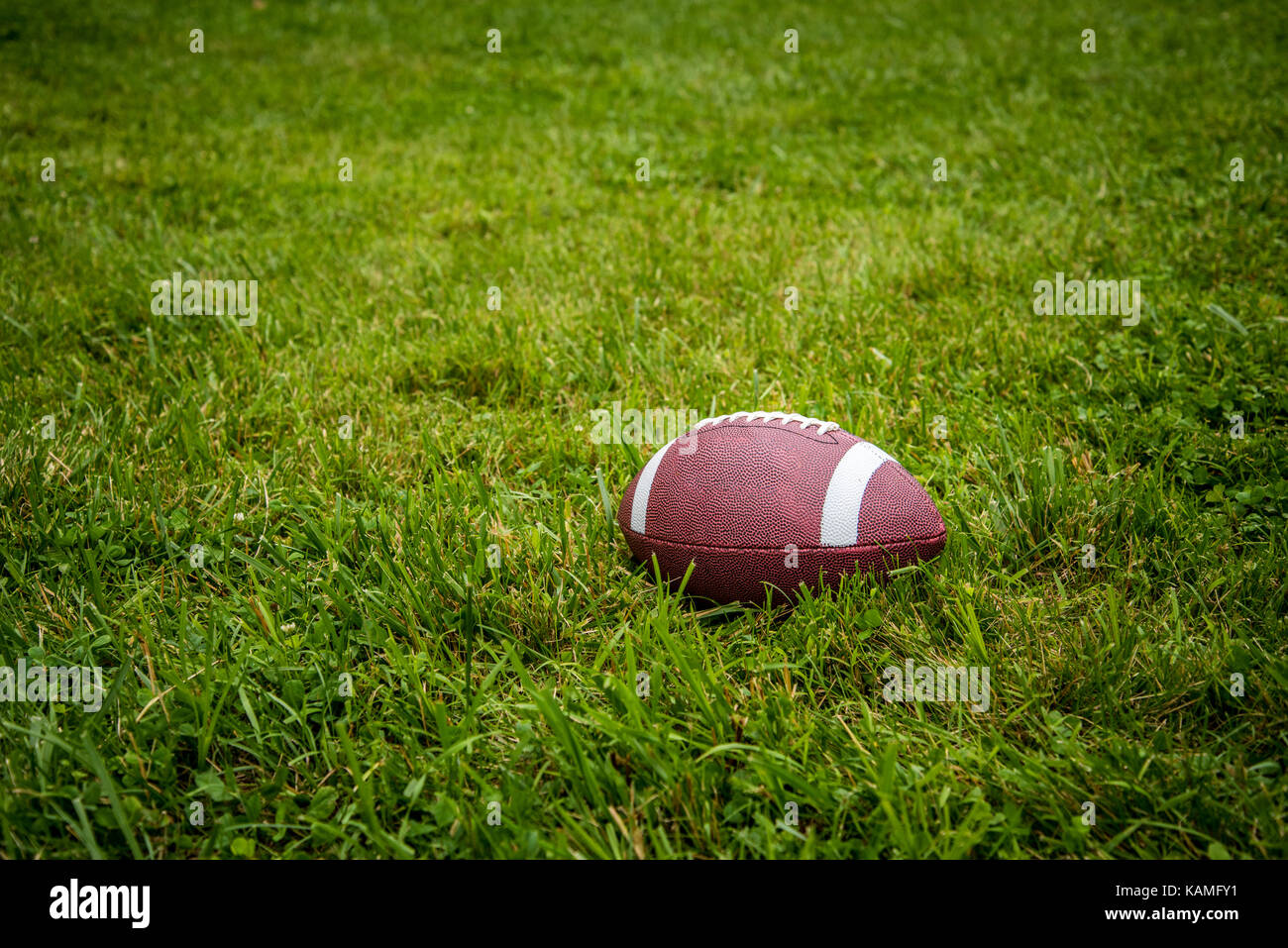 Il calcio in campo Foto Stock
