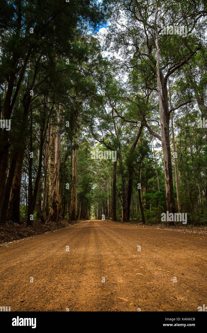 Strada panoramica d'ingresso al Parco Nazionale di Warren vicino a Pemberton Foto Stock