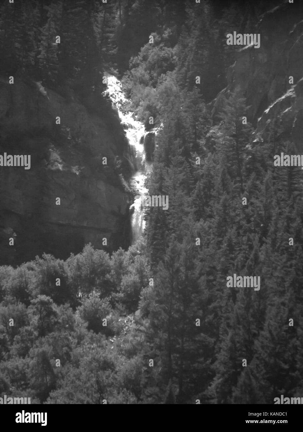 Una foto in bianco e nero di una cascata precipitando fuori di rocce quasi nascosto da una lussureggiante foresta. Foto Stock