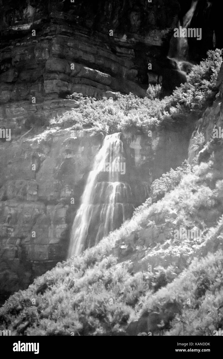 Una foto in bianco e nero di una cascata precipitando fuori di rocce quasi nascosto da una lussureggiante foresta. Foto Stock
