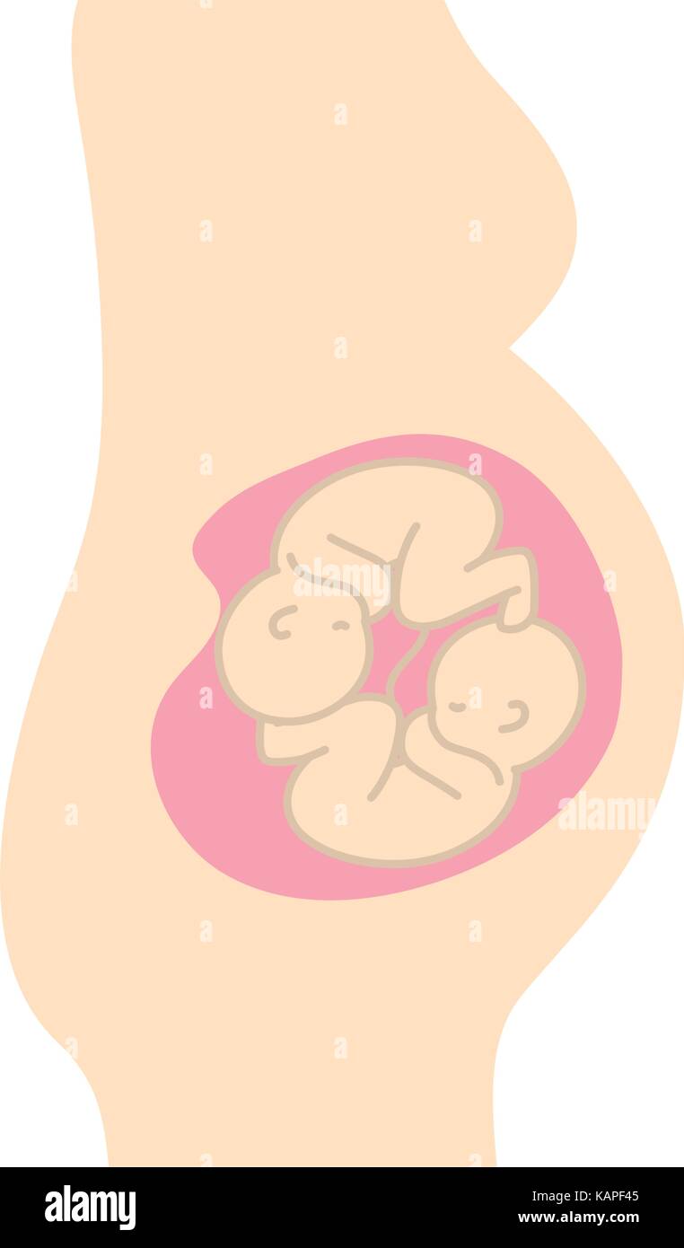 Donna incinta con bella gemelli neonati Illustrazione Vettoriale