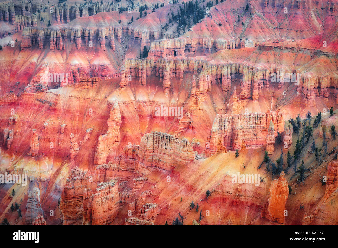 Ferro e ossidi di magnesio creare queste splendide rosso e viola i colori tra le hoodoo anfiteatro in Utah's Cedar Breaks National Monument. Foto Stock