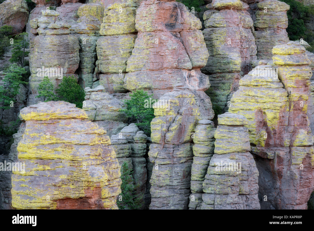 Innumerevoli lichen coperto formazioni rocciose e le hoodoos si trovano in tutta se l'Arizona Chiricahua National Monument. Foto Stock