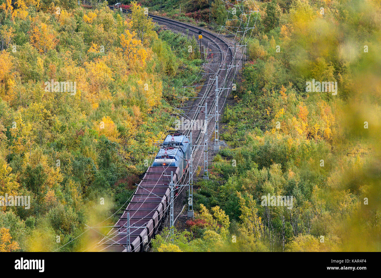 Il minerale di ferro di linea, svezia il 13 settembre 2017. vista di un treno passare il paesaggio colorato. In Treno, Ferrovia e foresta. editoriale. Foto Stock