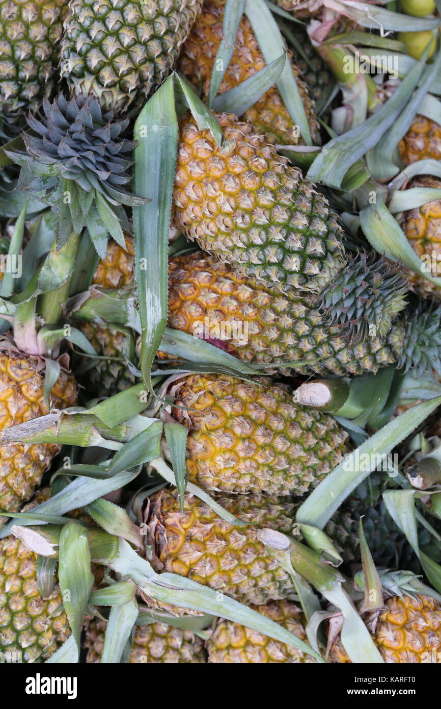 Ananas su un mercato asiatico --- Ananas auf einem asiatischen Markt Foto Stock