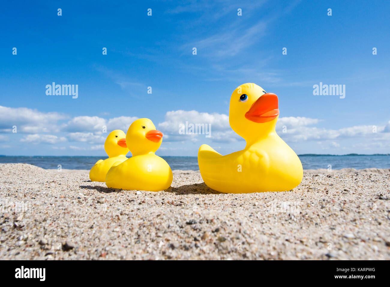Costa Baltica, anatre elastico sulla spiaggia, Ostseekueste, Gummienten am Strand Foto Stock