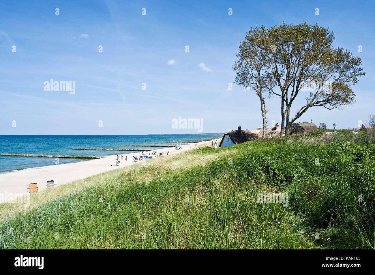 Ahrenshoop, spiaggia del segmento con ahrenshoop, strandabschnitt bei ahrenshoop Foto Stock