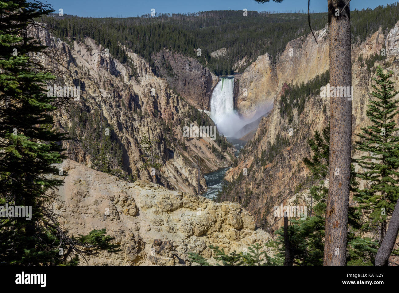 Le cascate inferiori di Yellowstone River nel parco nazionale di Yellowstone, Wyoming usa Foto Stock