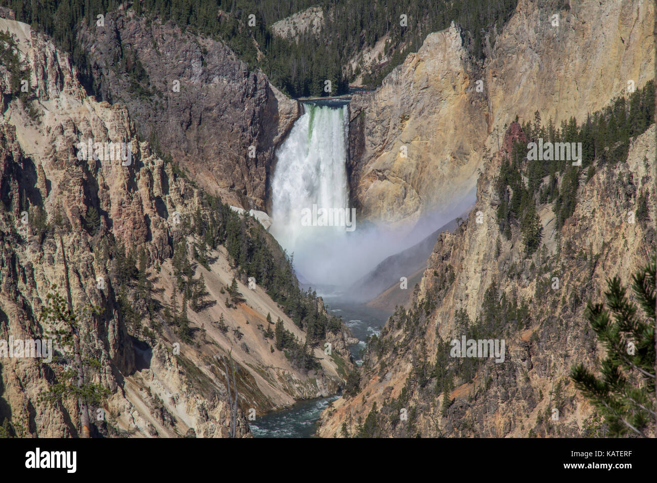 Le cascate inferiori di Yellowstone River nel parco nazionale di Yellowstone, Wyoming usa Foto Stock