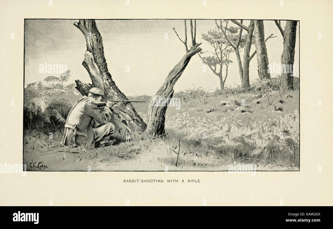 Il coniglio (piastra 7) (5981716945) Foto Stock