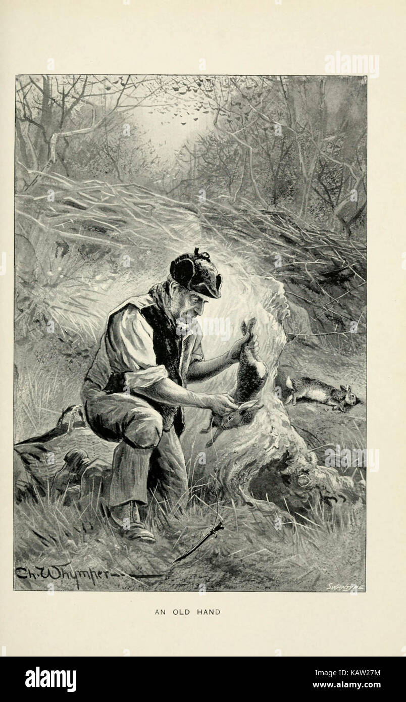 Il coniglio (piastra 8) (5981717393) Foto Stock